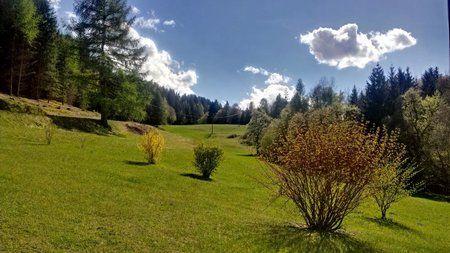 IMAG0041.jpg