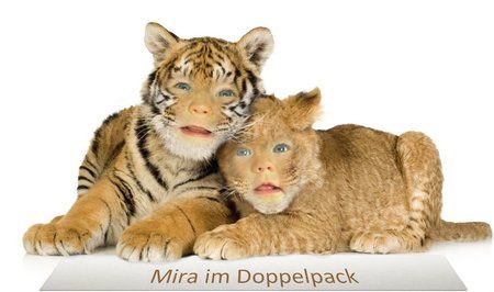 funny_photo_20120423210841.jpg