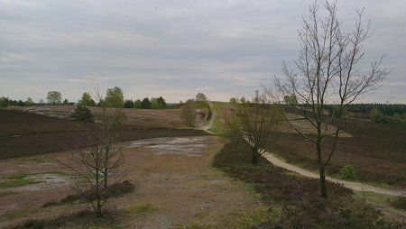 IMAG0135.jpg