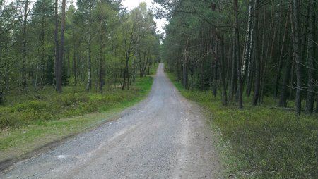 IMAG0142.jpg