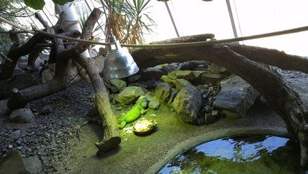 2012-04-27 11.16.38.jpg