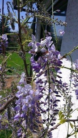 IMAG0131.jpg