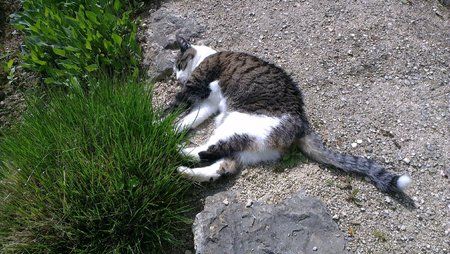 IMAG0079.jpg