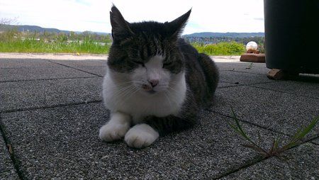 IMAG0087.jpg