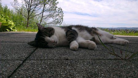 IMAG0101.jpg