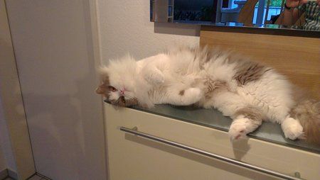 IMAG0011.jpg