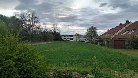 IMAG0119.jpg