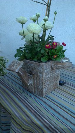 IMAG0088.jpg