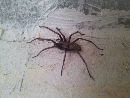 20120428_095406.jpg