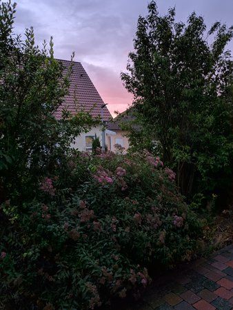 IMG_20190712_211331.jpg