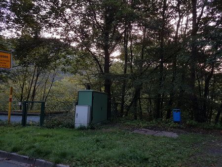 20190819_062602.jpg