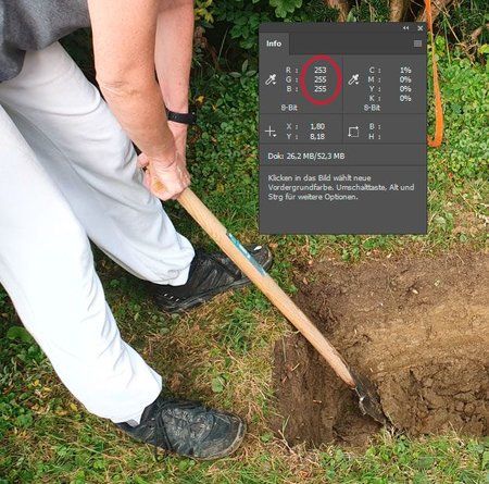 gg.jpg