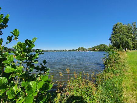 20190822_155355.jpg
