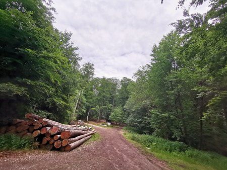 IMG_20190616_162144.jpg