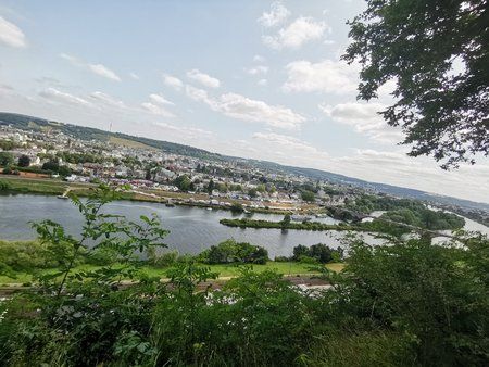 IMG_20190714_150538.jpg