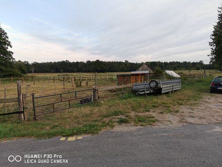 IMG_20190816_194639.jpg