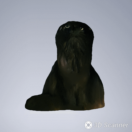 20190823-222333.gif