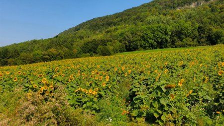 20190825_114423.jpg