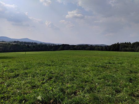 IMG_20190825_163014.jpg