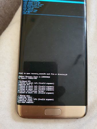 69585994_3051617868198141_6346579839364890624_o.jpg