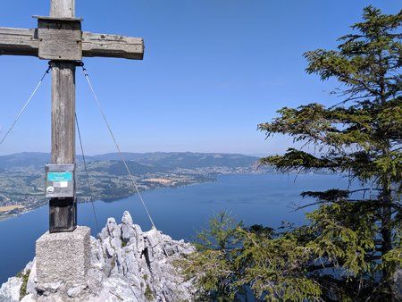 IMG_20190704_103218.jpg