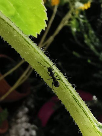 IMG_20190830_111326.jpg