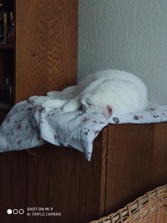 IMG_20190830_143243.jpg