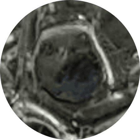 Screenshot_20190901-090127.png