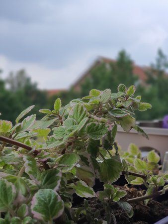 20190901_105822.jpg