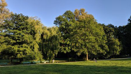 IMG_20190903_072937.jpg