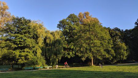 IMG_20190903_072843.jpg