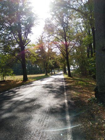 IMG_20180916_150919.jpg