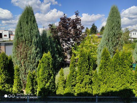 IMG_20190902_124431.jpg
