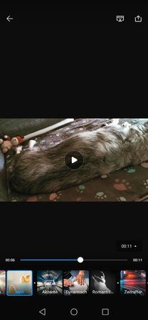 Screenshot_20190905_145010_com.huawei.videoeditor.jpg