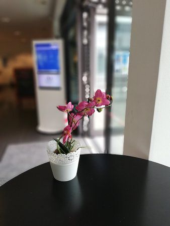 p20Lite.jpg