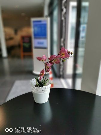 P30Pro-1.jpg