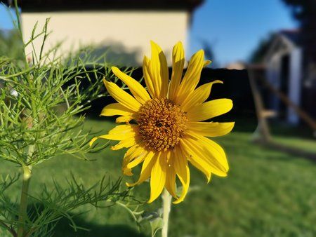 IMG_20190912_172634.jpg
