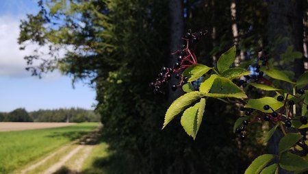 IMG_20190915_113144597_HDR.jpg