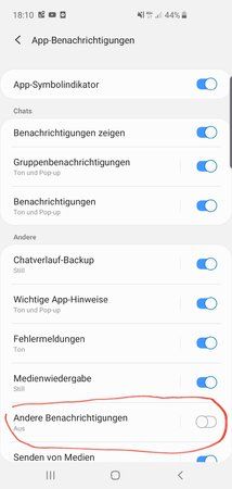 Screenshot_20190919-181038_Settings.jpg