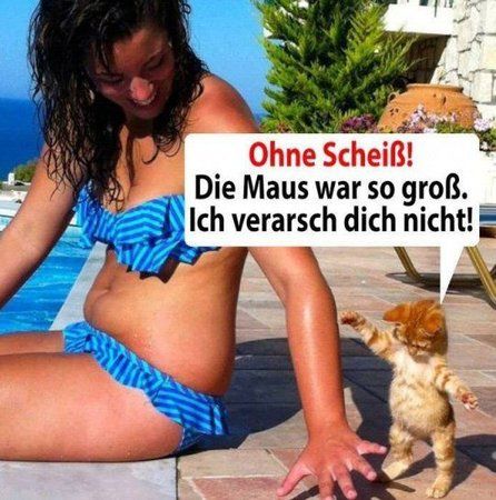 maus.jpg