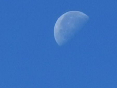 IMG_20190921_113137.jpg