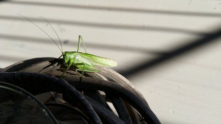 IMG_20180615_190212.jpg