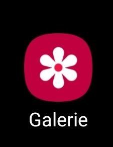 Screenshot_20190924-175707_One UI Home.jpg