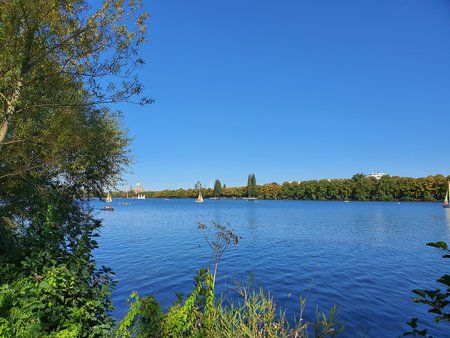 20190922_124012.jpg