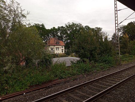 IMG_20190924_161156.jpg