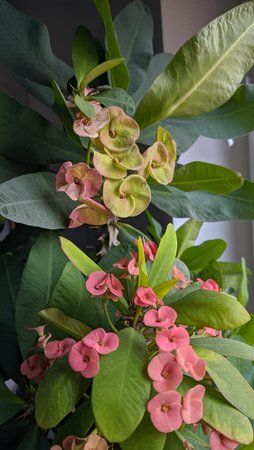 IMG_20190926_103758.jpg