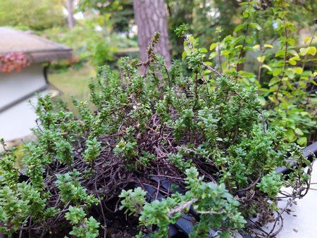 IMG_20190926_183241.jpg