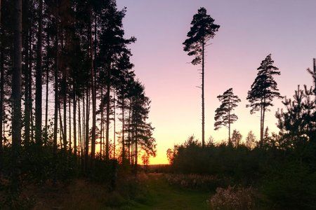 190921_10.jpg