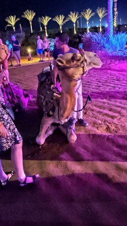 IMG_20190916_204456.jpg