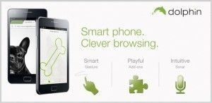top-android-browsers-for-2012-300x146.jpg